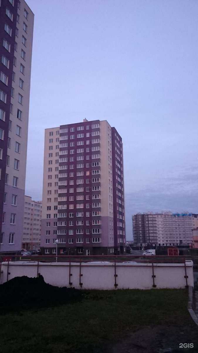 Отзывы на компанию Будь первым в Калининграде c фото - фотография 2 из 2