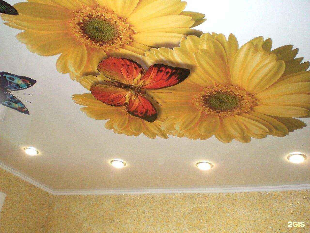 Отзывы на компанию Флагман в г. Бузулук c фото