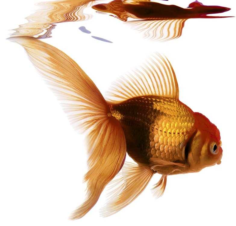 Отзывы на компанию Аквариф в Нижнем Новгороде c фото