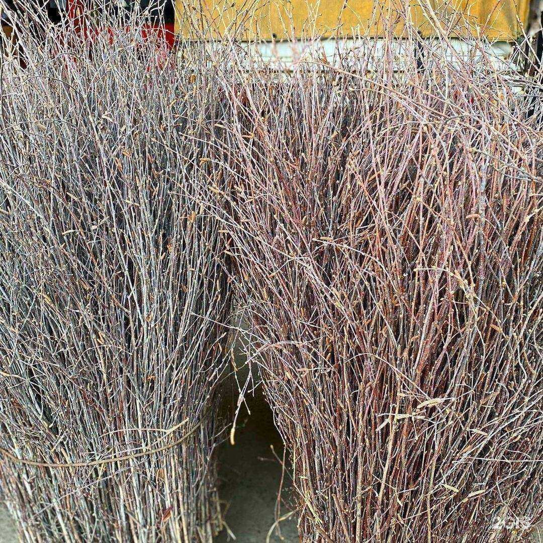 Отзывы на компанию СтройМир в Хабаровске c фото