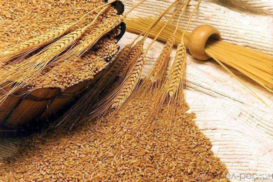 Отзывы на компанию Орловский издательский дом в г. Орёл c фото