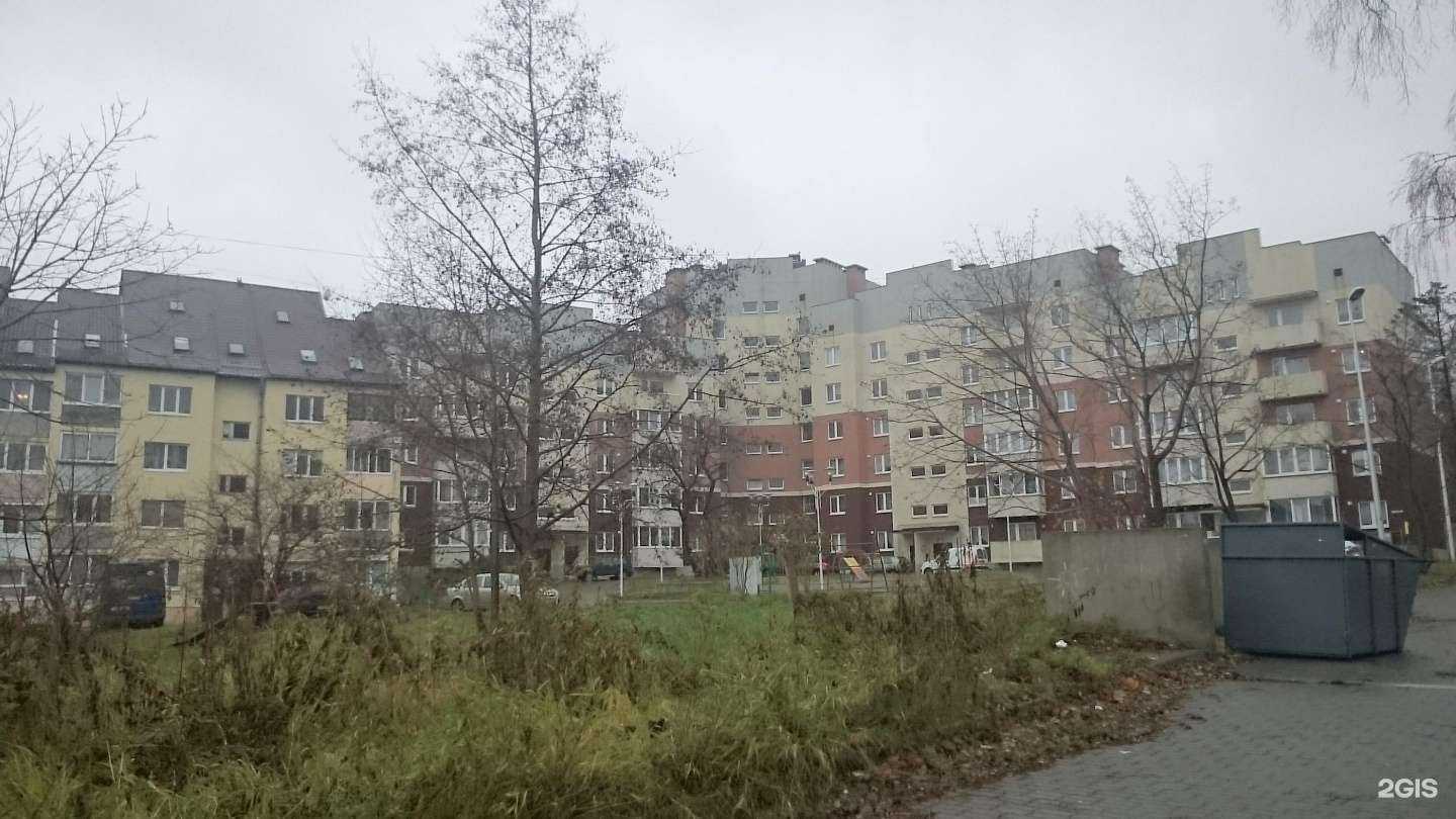 Отзывы на компанию Аптека в Светлогорске c фото - фотография 2 из 2