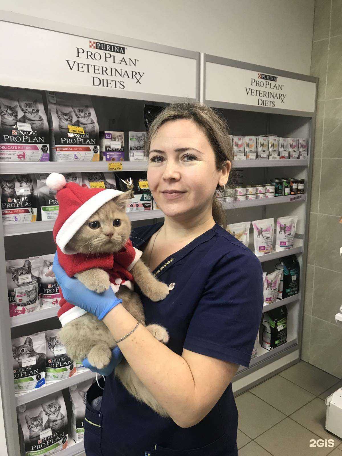 Отзывы на компанию Ника в Перми c фото