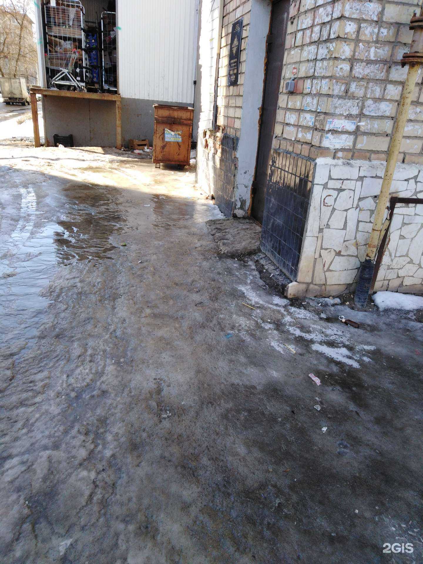 Отзывы на компанию Paradise garden в г. Тамбов c фото