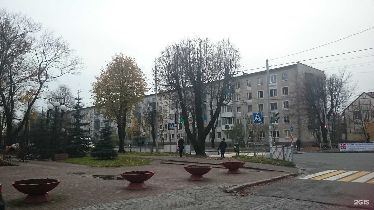 Отзывы на компанию Алиса в Калининграде c фото - фотография 2 из 2