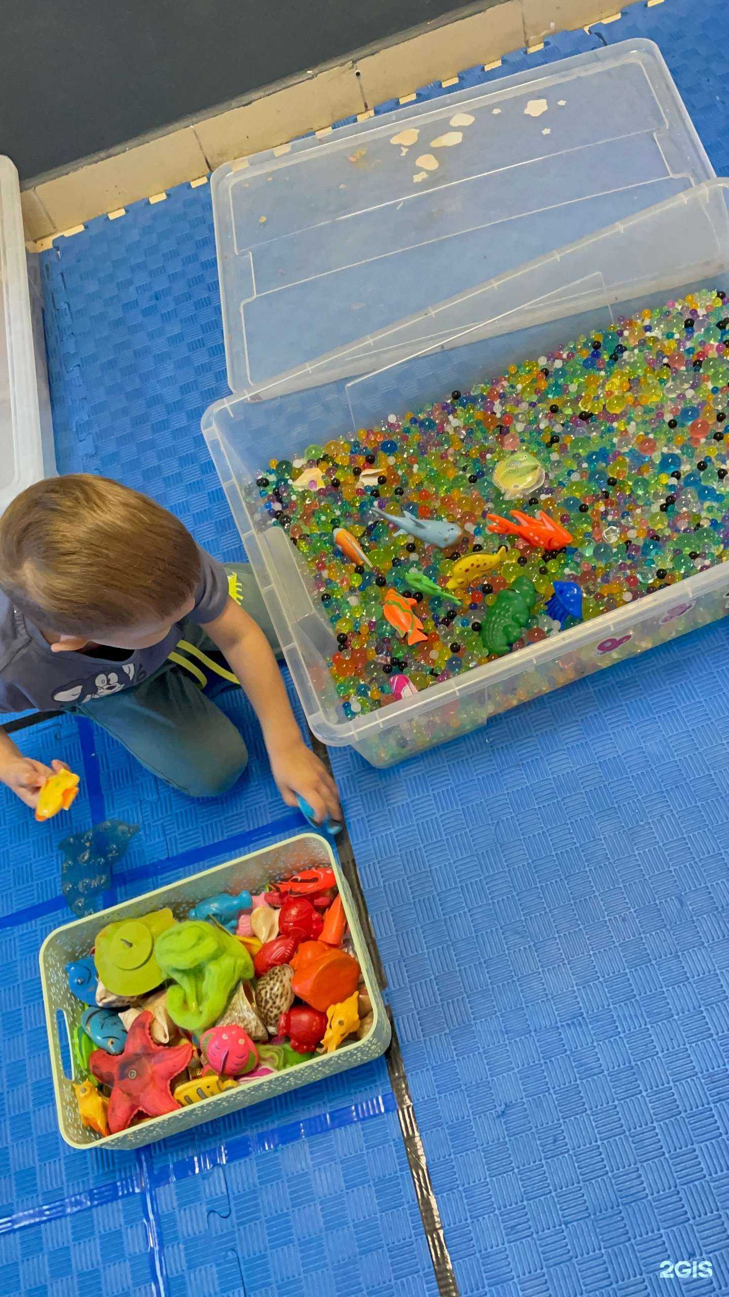 Отзывы на компанию Скворушки в Омске c фото