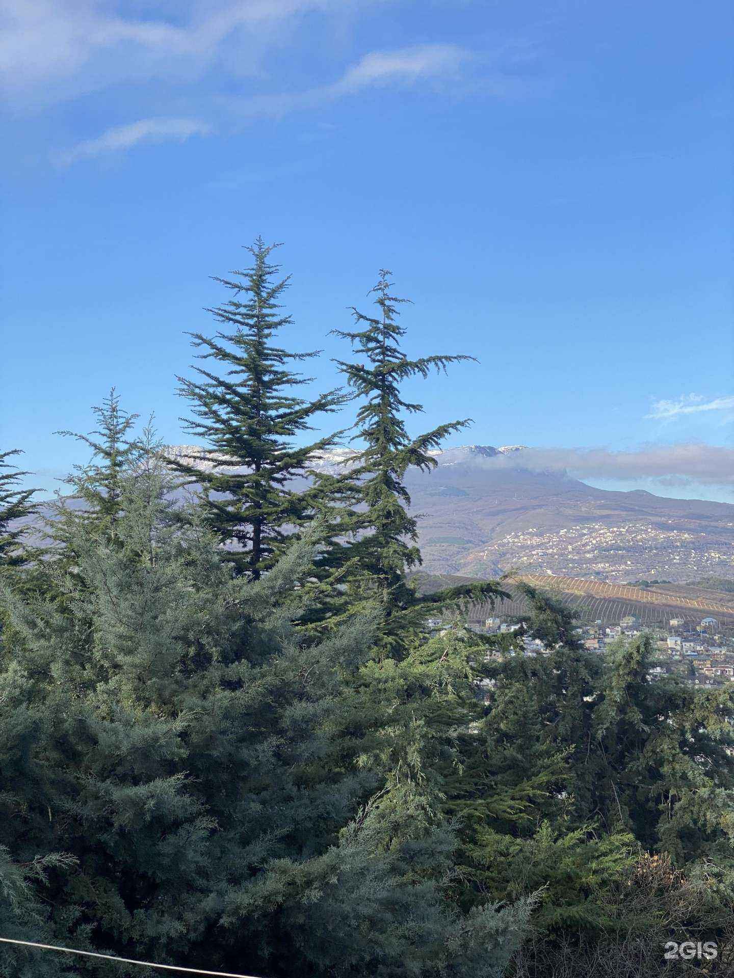 Отзывы на компанию Сменикварти.ру в г. Воронеж c фото