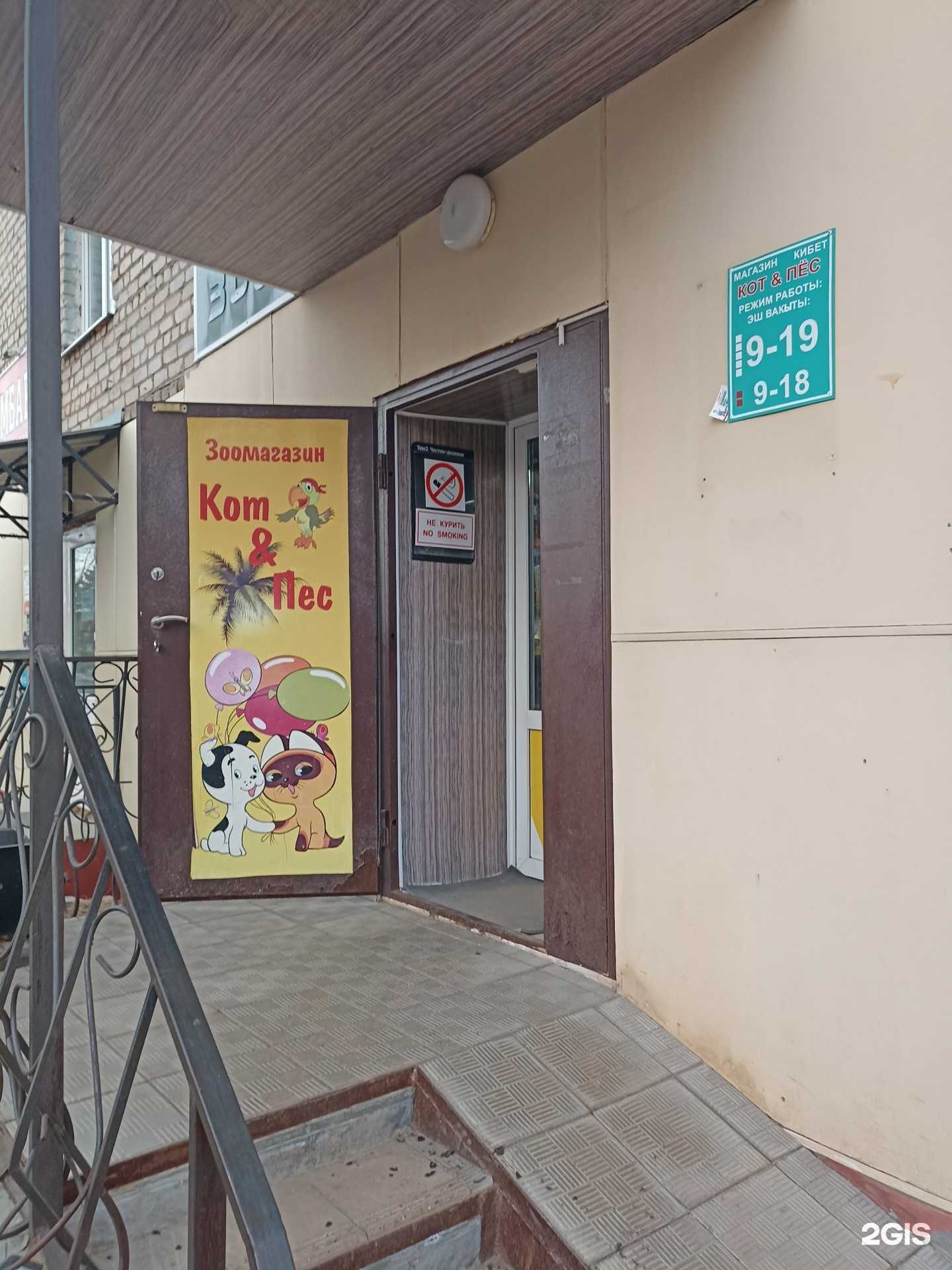 Отзывы на компанию Кот&Пес в г. Лениногорск c фото