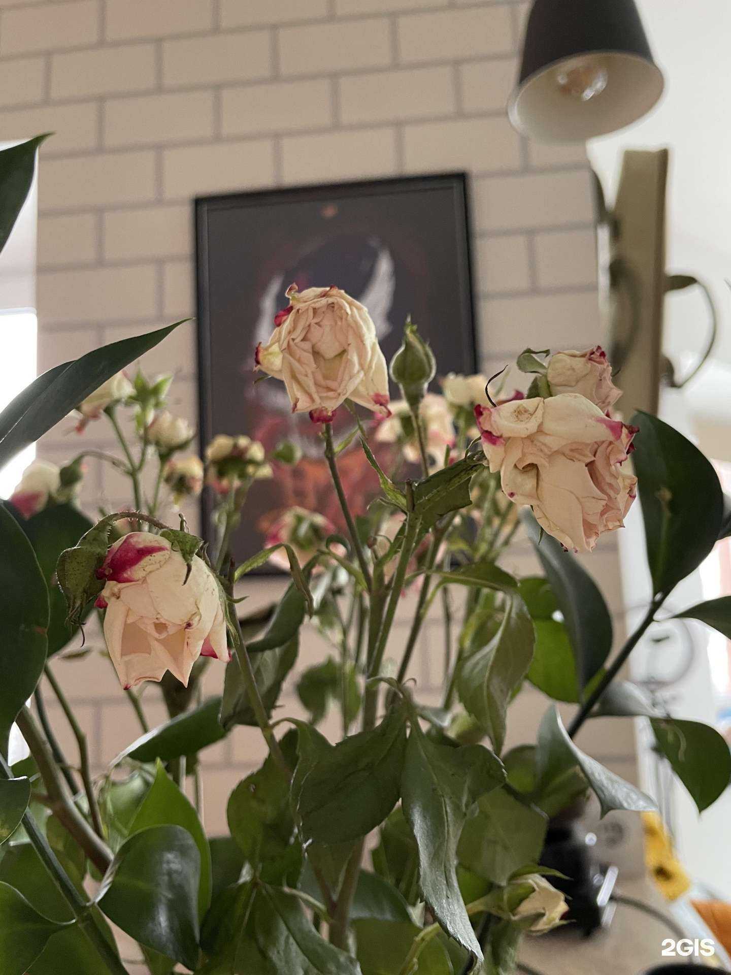 Отзывы на компанию ЦветОК в Смоленске c фото