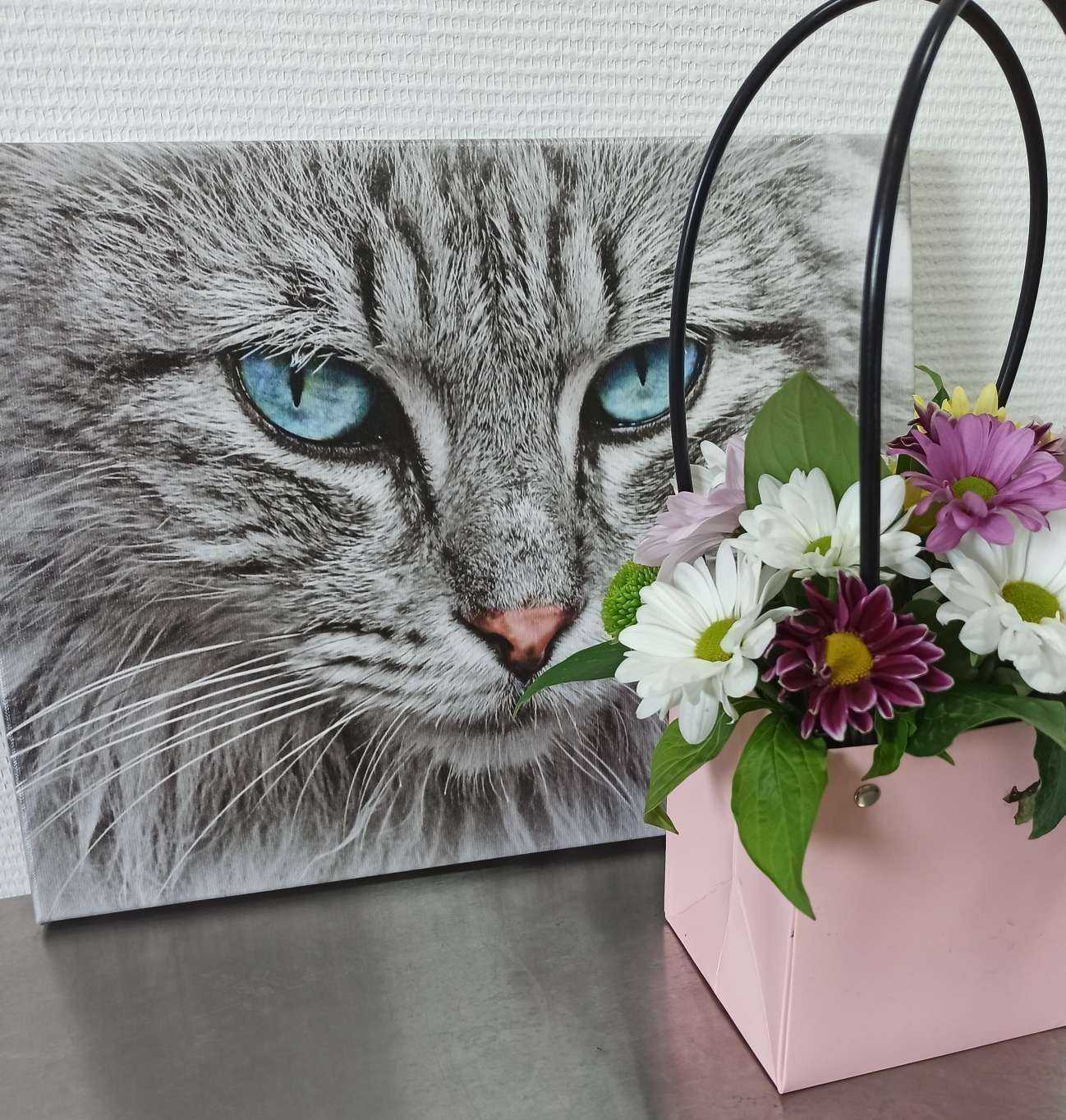 Отзывы на компанию Ветеринарная клиника в г. Нижнекамск c фото