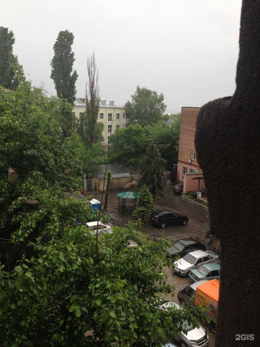 Отзывы на компанию Шмель в Воронеже c фото - фотография 2 из 2