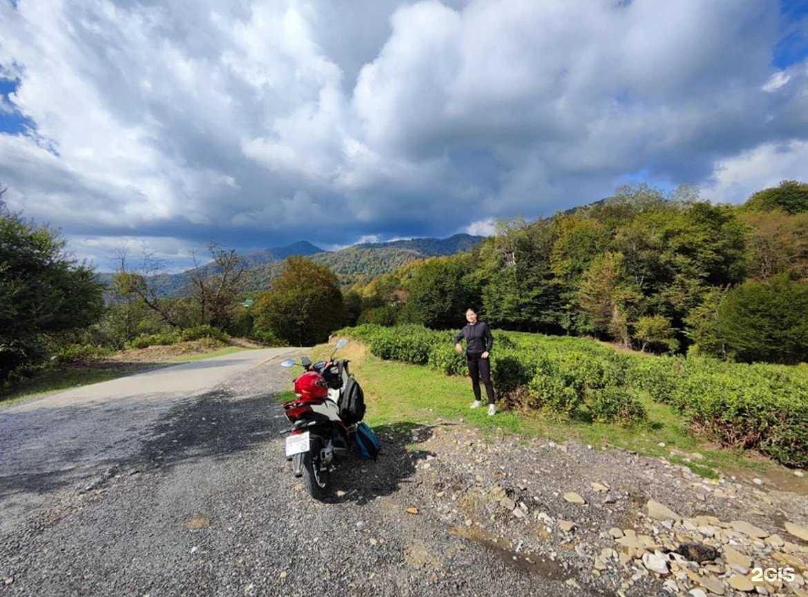 Отзывы на компанию F&m в г. Сочи c фото