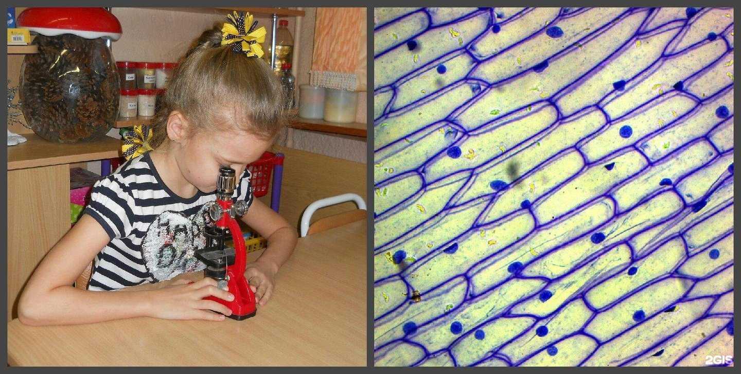 Отзывы на компанию Детский сад №163 в г. Тверь c фото