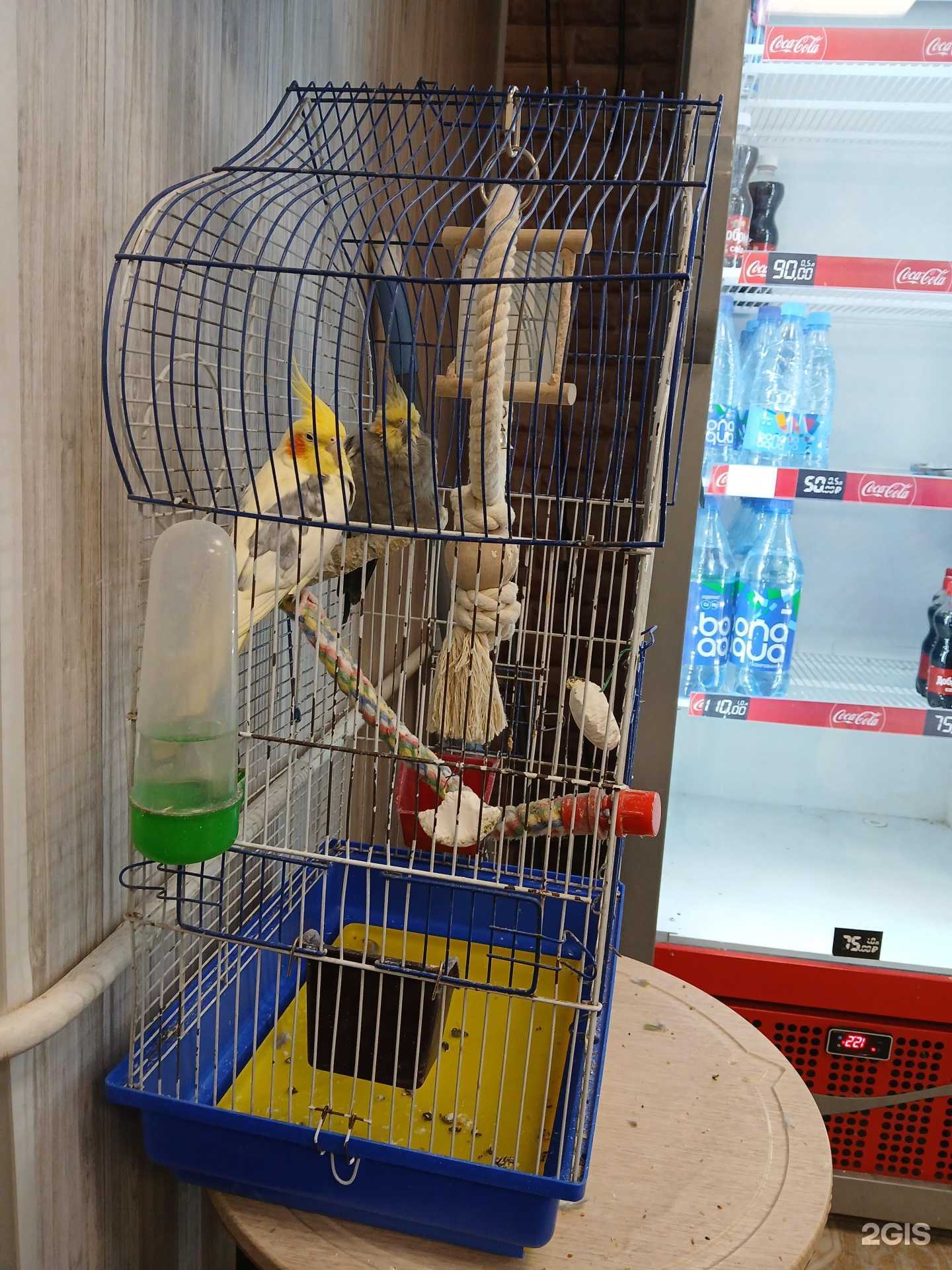 Отзывы на компанию Авто-дело+ в г. Новосибирск c фото