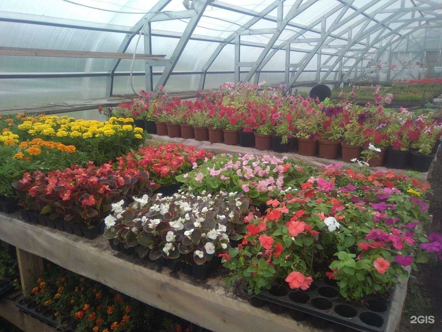 Отзывы на компанию Городской комбинат благоустройства в г. Петрозаводск c фото