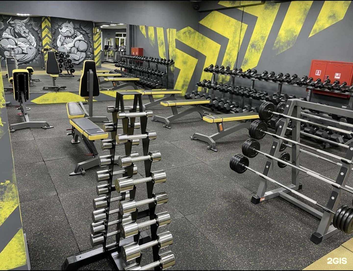 Отзывы на компанию Wildsport в Химках c фото