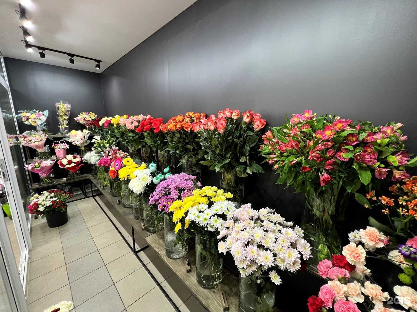 Отзывы на компанию Дом цветов в г. Тверь c фото