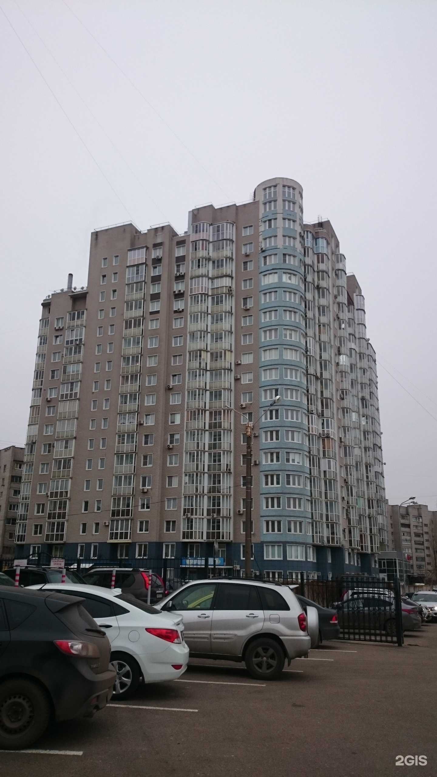 Отзывы на компанию Улыбка Мечты в Воронеже c фото - фотография 2 из 2