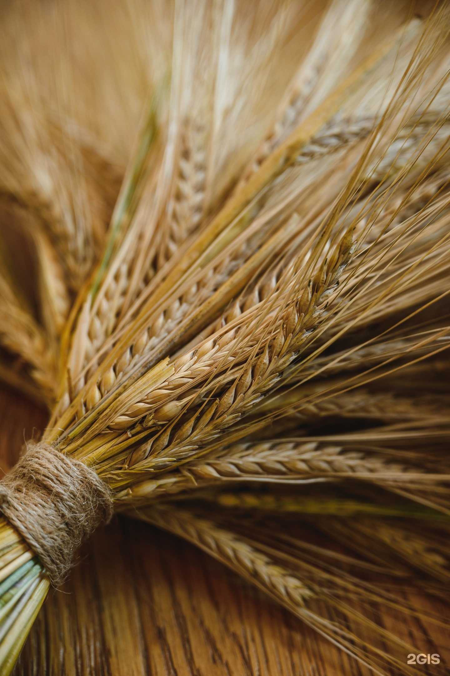 Отзывы на компанию Zurrahmat в Уфе c фото