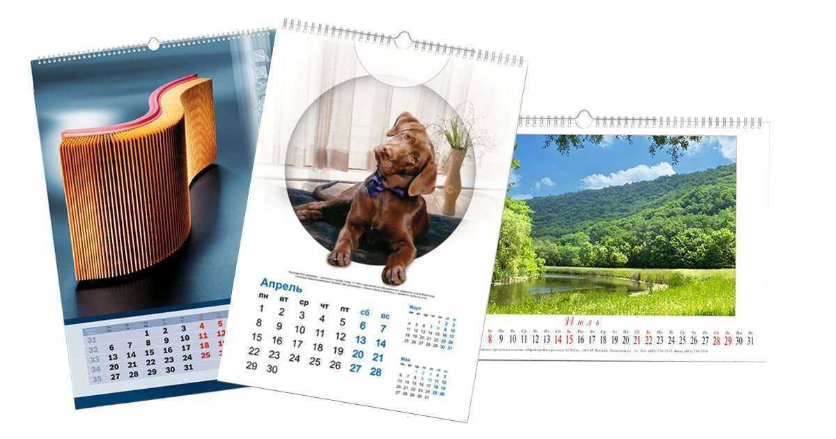 Отзывы на компанию Модуль в Брянске c фото