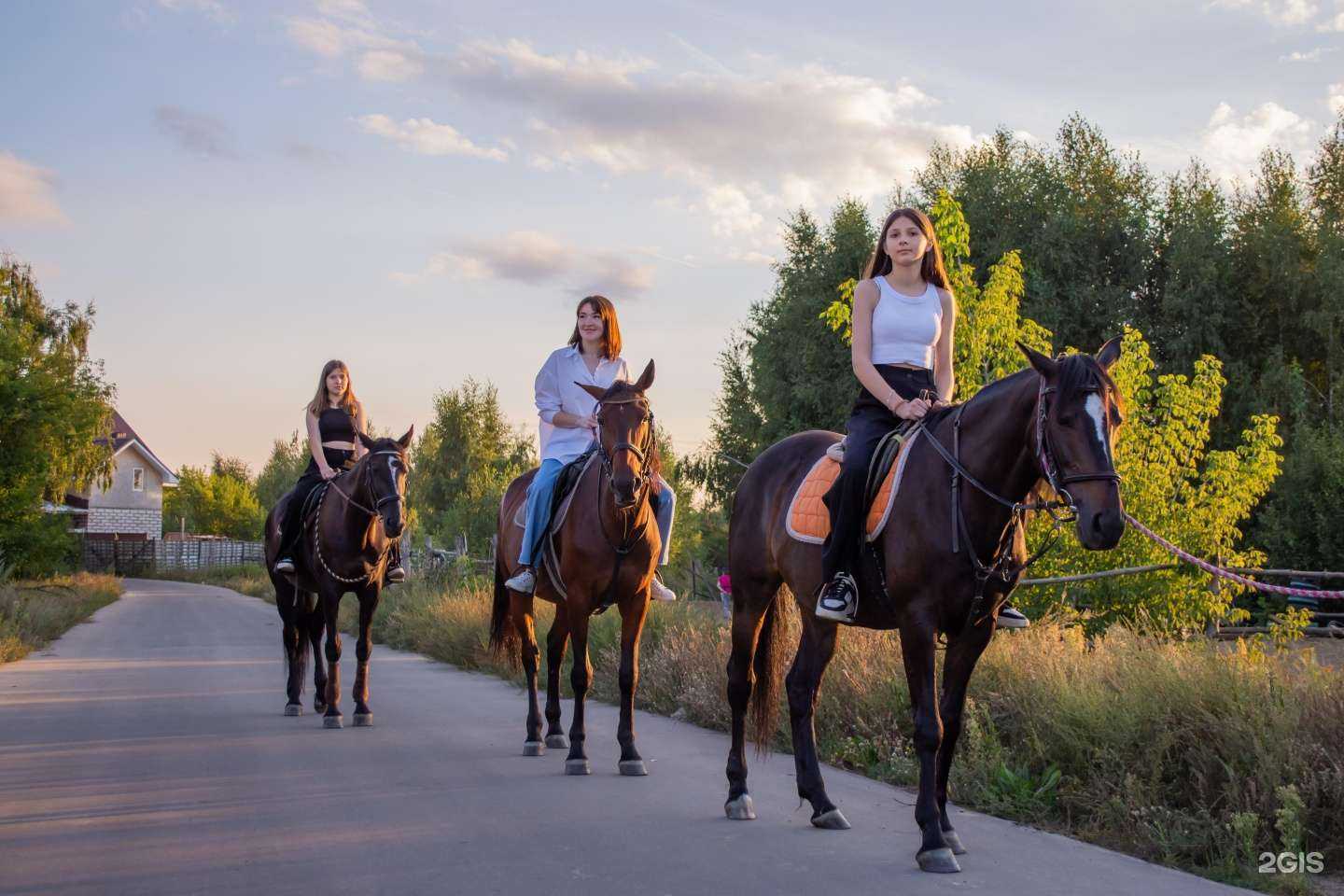Отзывы на компанию Валькирия в г. Нижний Новгород c фото
