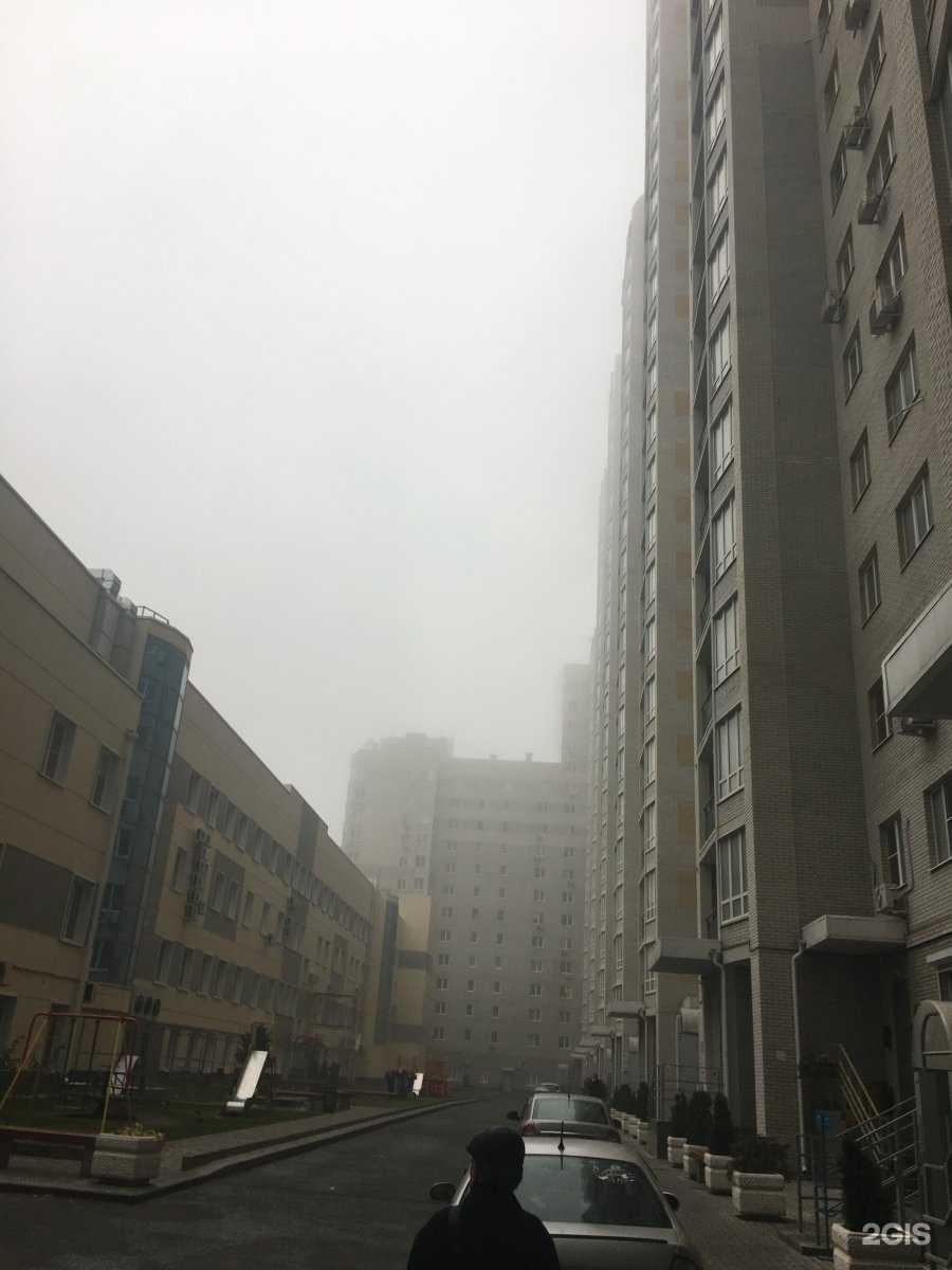 Отзывы на компанию Детский реабилитационный центр в Ростове-на-Дону c фото - фотография 2 из 2