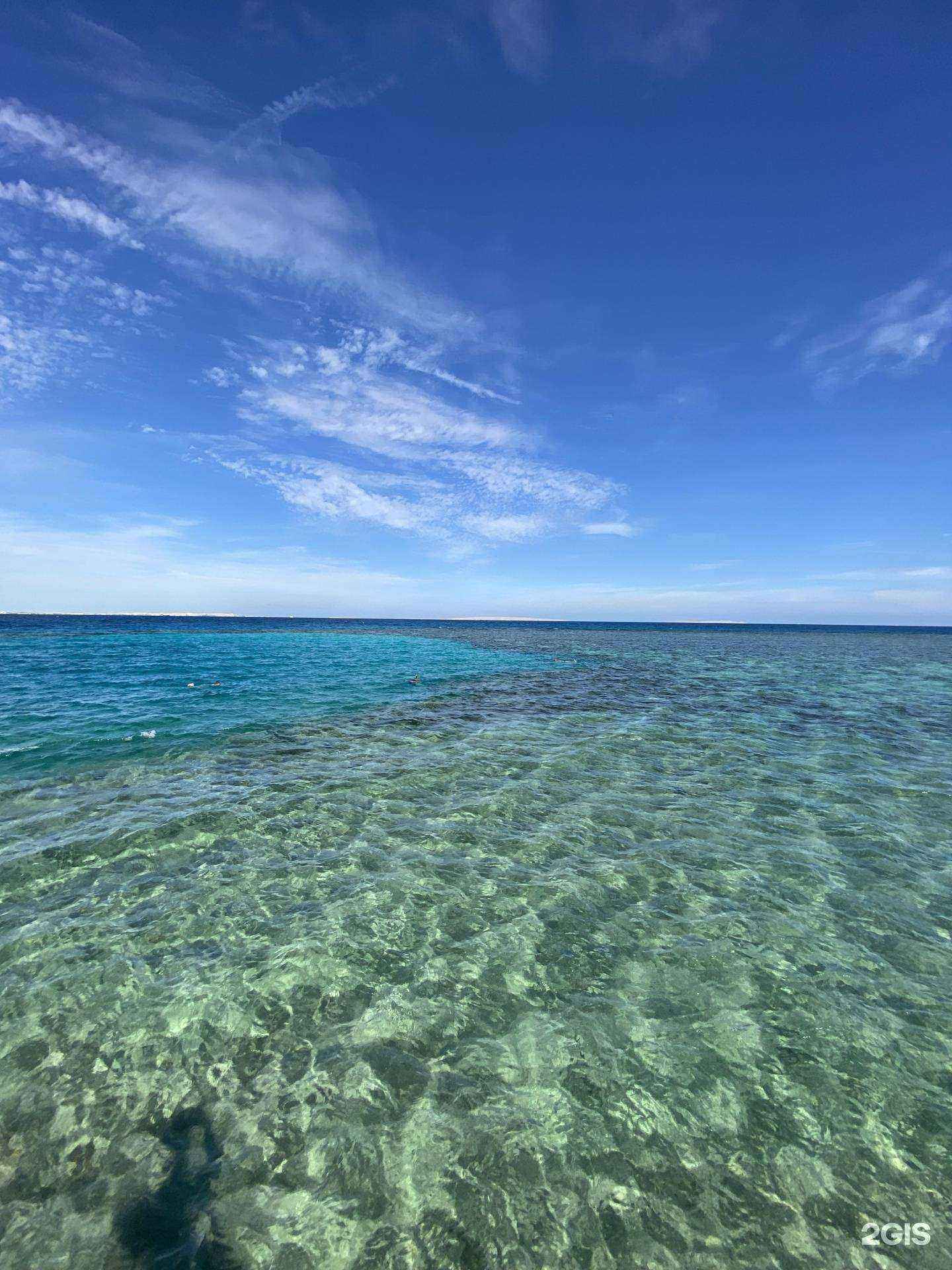 Отзывы на компанию Ви-Тур в Воронеже c фото