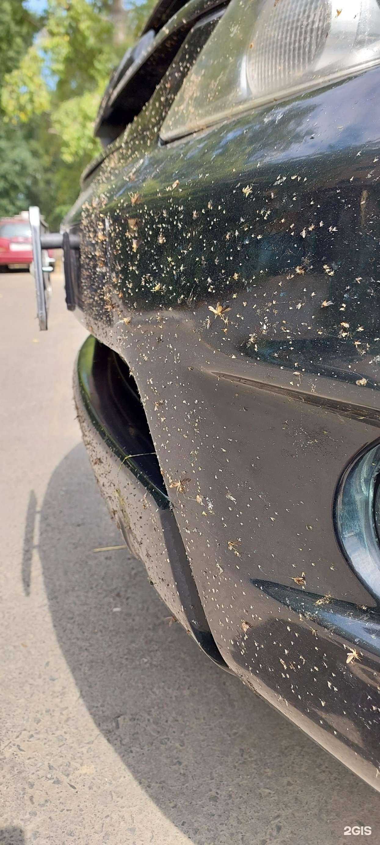 Отзывы на компанию Безлимит в Комсомольске-на-Амуре c фото