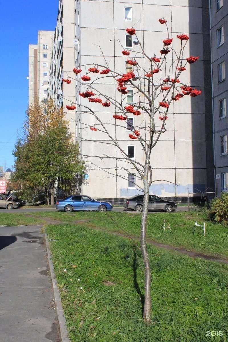 Отзывы на компанию New style в Петрозаводске c фото - фотография 2 из 2