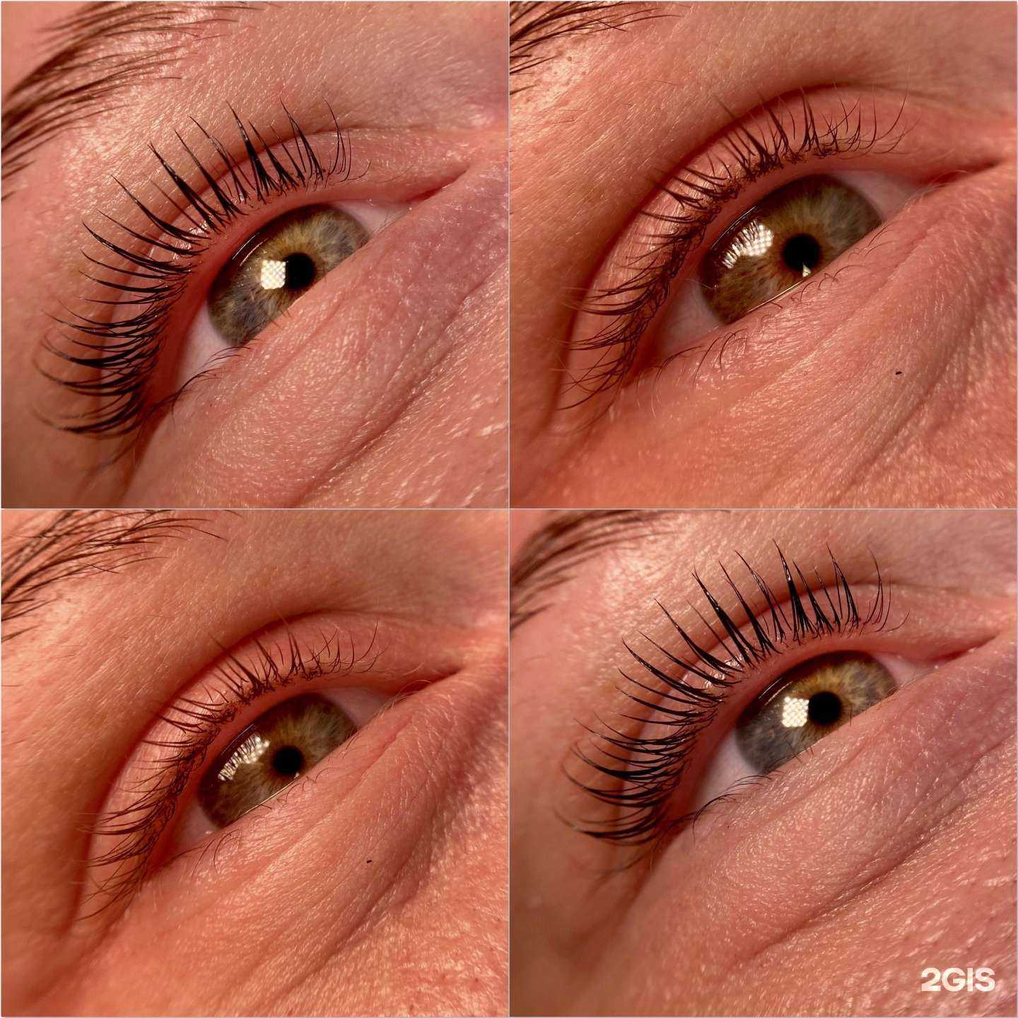 Отзывы на компанию Lami lama в г. Мурманск c фото