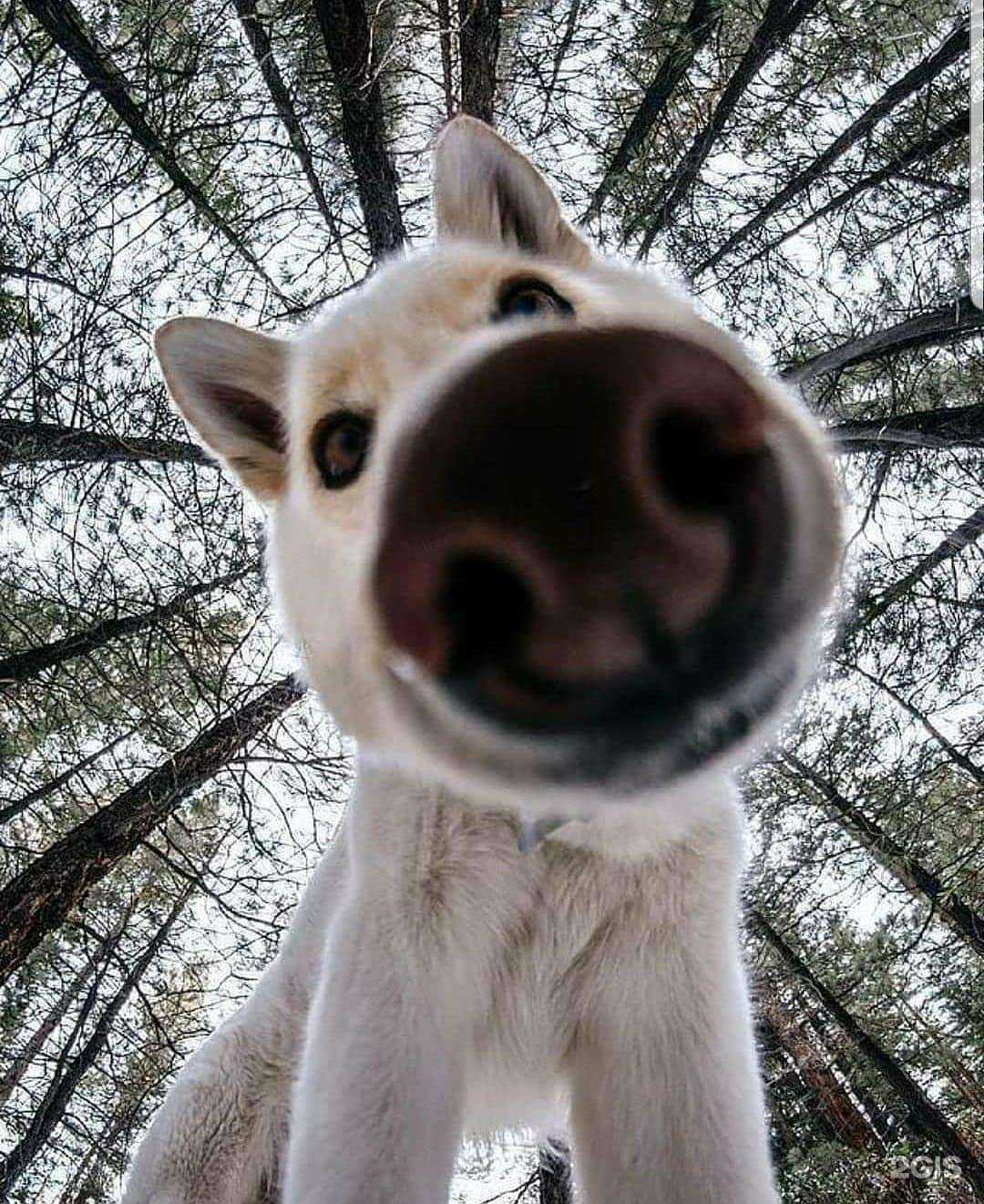 Отзывы на компанию Mio club в г. Геленджик c фото