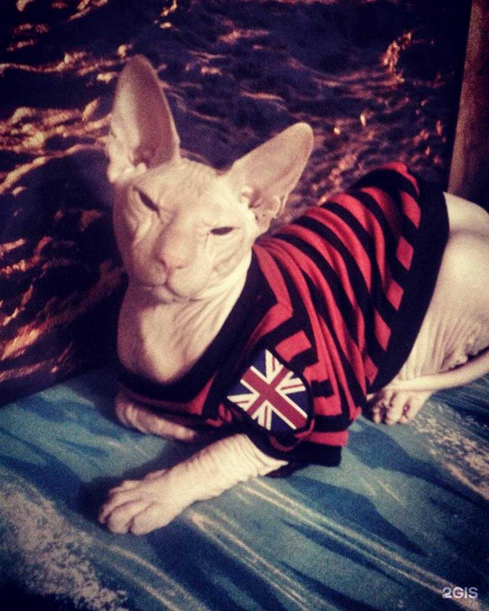 Отзывы на компанию Вита в Костроме c фото