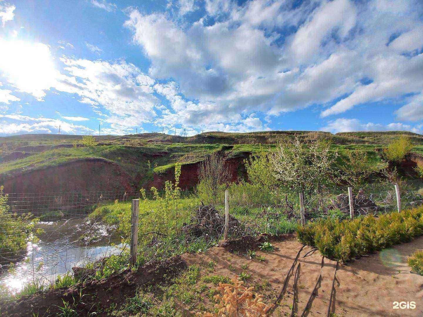 Отзывы на компанию Ботаника в г. Октябрьский c фото