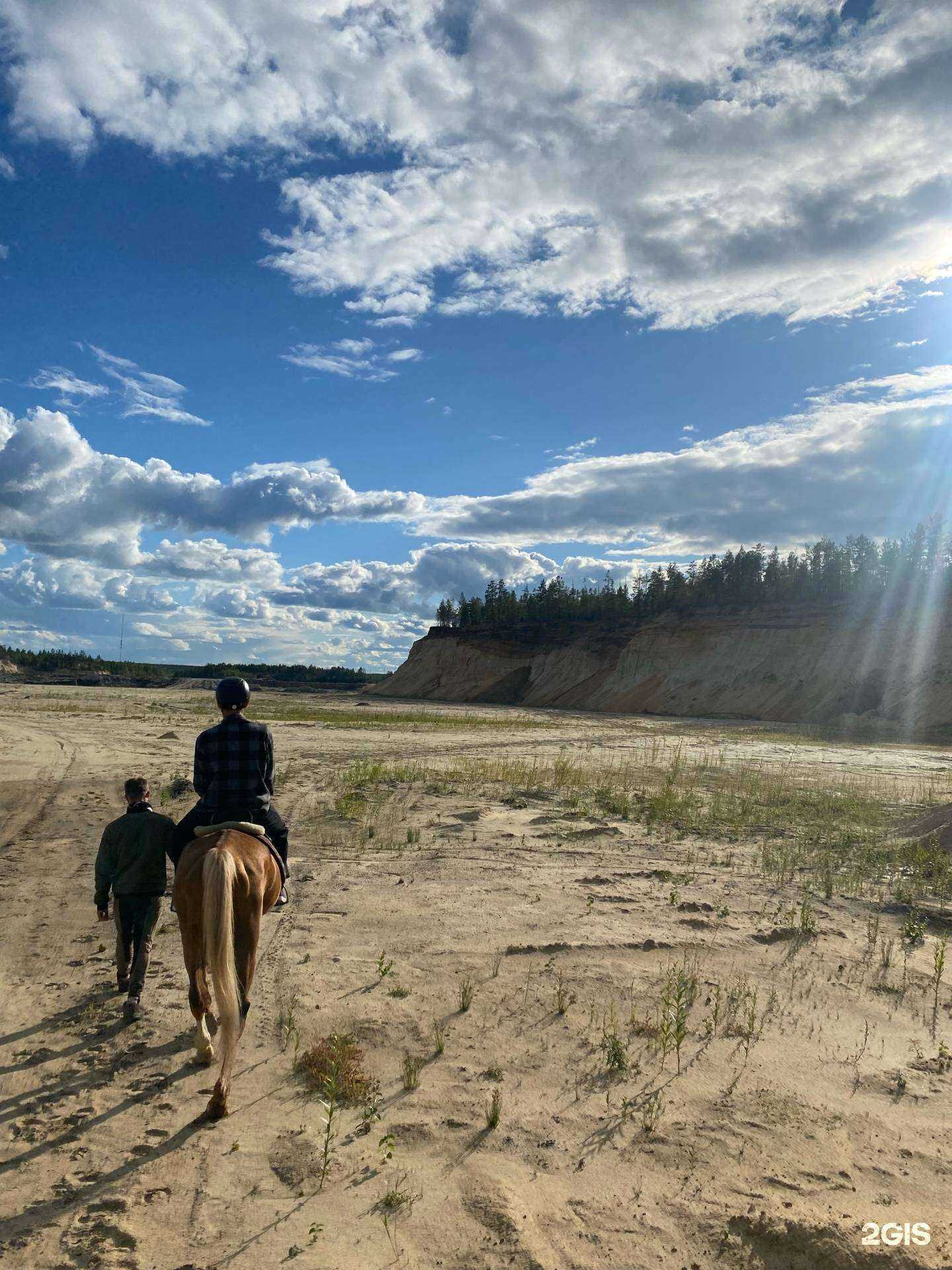 Отзывы на компанию Мустанг в г. Якутск c фото