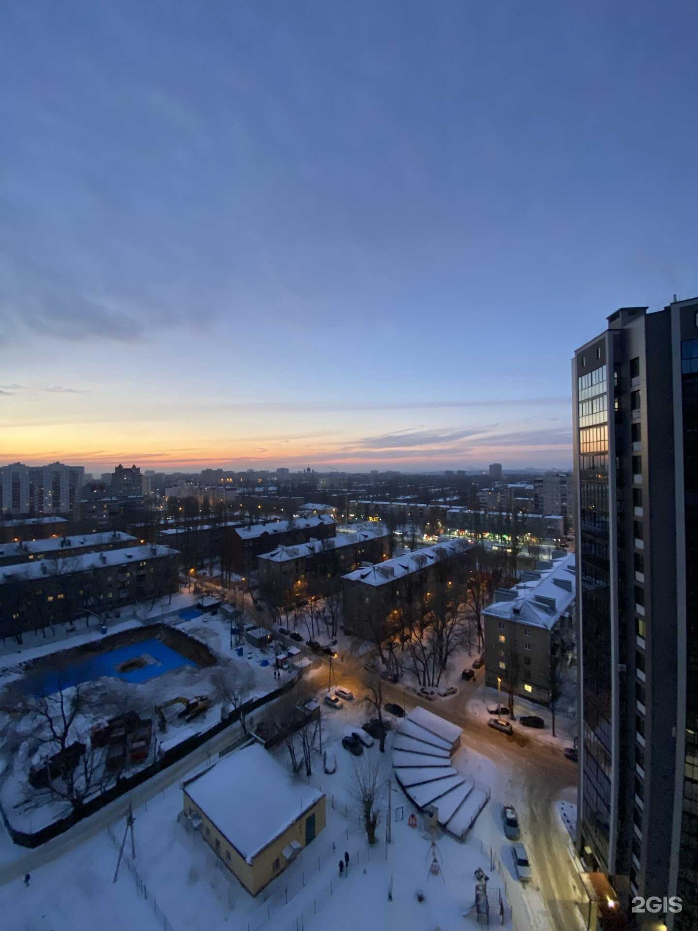 Отзывы на компанию Веселый хвост в Воронеже c фото