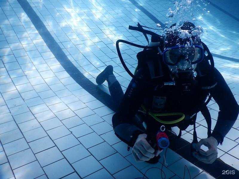Отзывы на компанию Костромской клуб подводного плавания в Костроме c фото