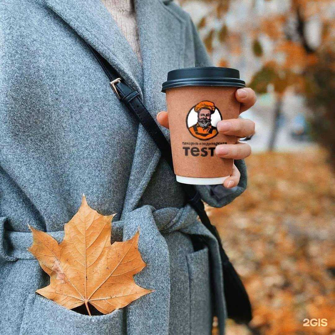 Отзывы на компанию Testo в Тольятти c фото