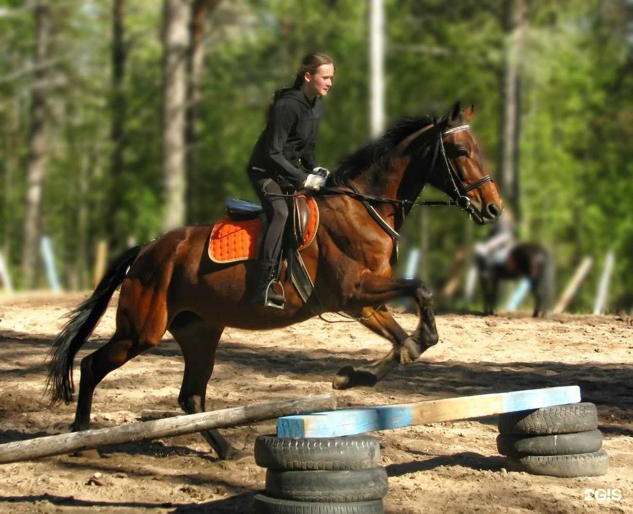 Отзывы на компанию Нега в Петрозаводске c фото
