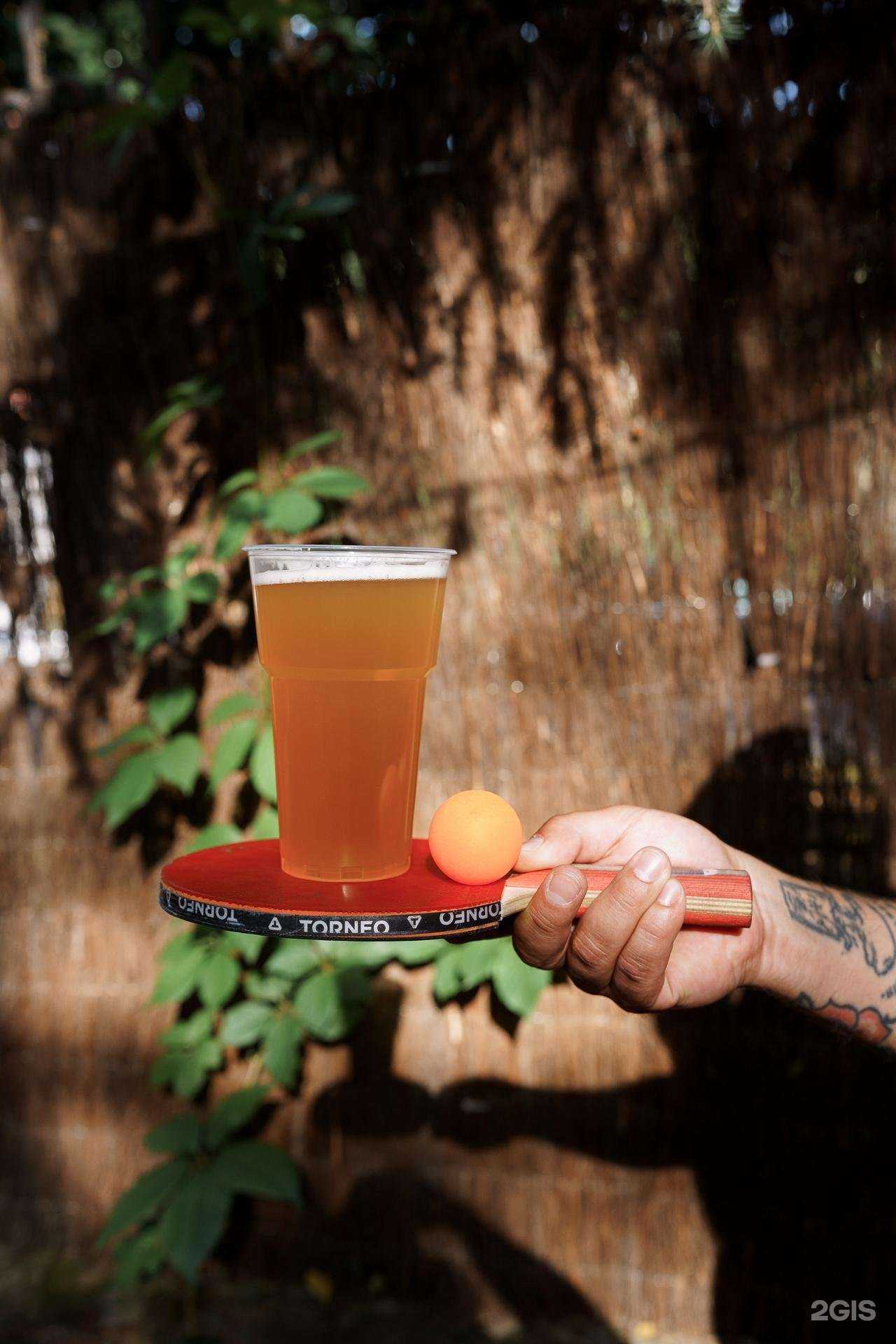 Отзывы на компанию Дача культурно коротко в Воронеже c фото