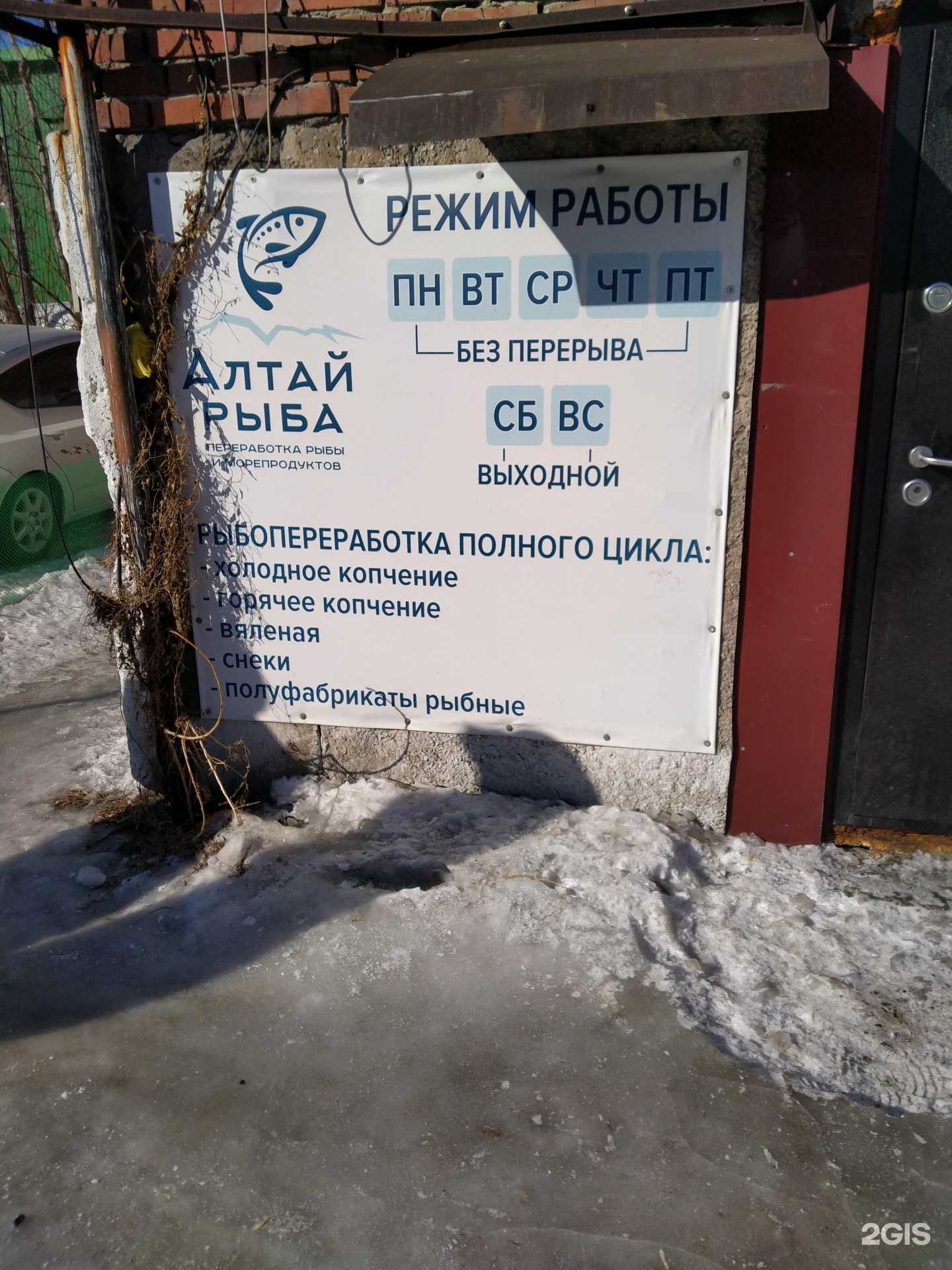 Отзывы на компанию Алтай рыба в г. Новосибирск c фото