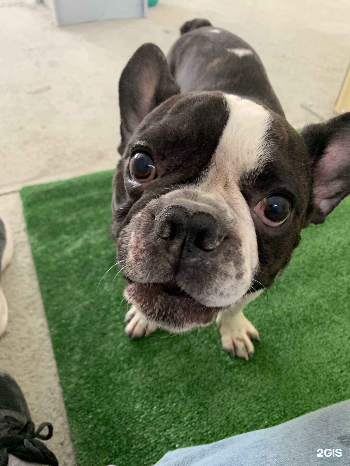 Отзывы на компанию Маленький принц в Барнауле c фото