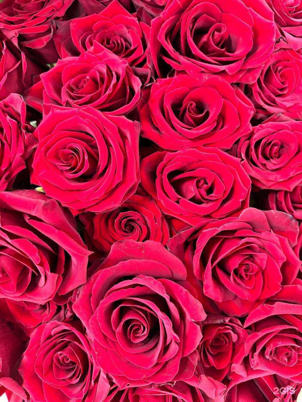 Отзывы на компанию Цветы у Насти в г. Екатеринбург c фото