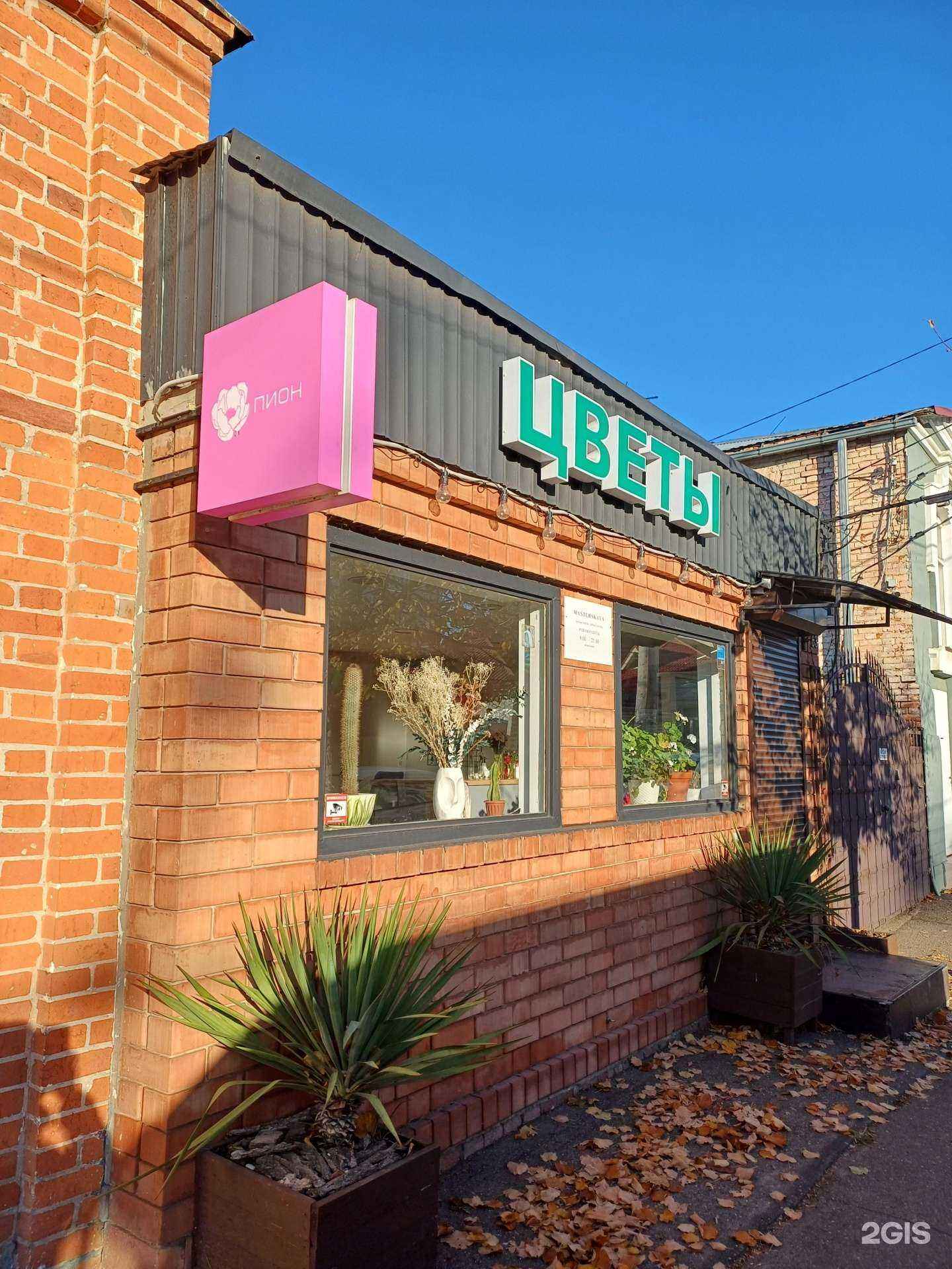 Отзывы на компанию Пион в Краснодаре c фото