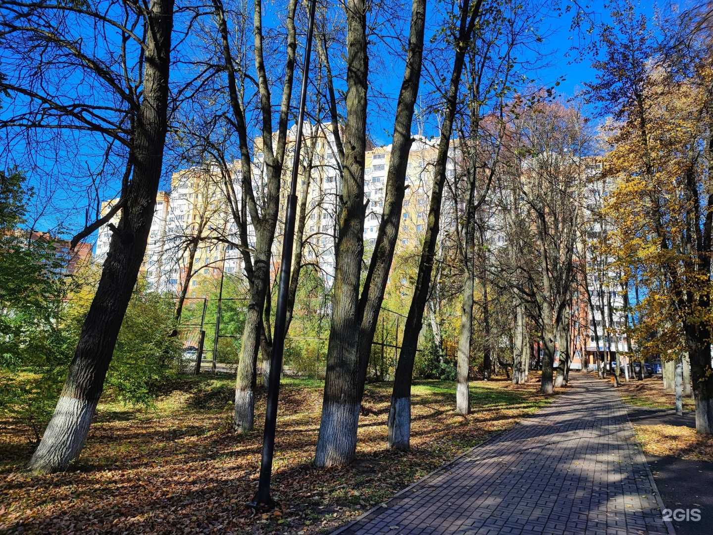 Отзывы на компанию IQ-центр в Наро-Фоминске c фото - фотография 2 из 2