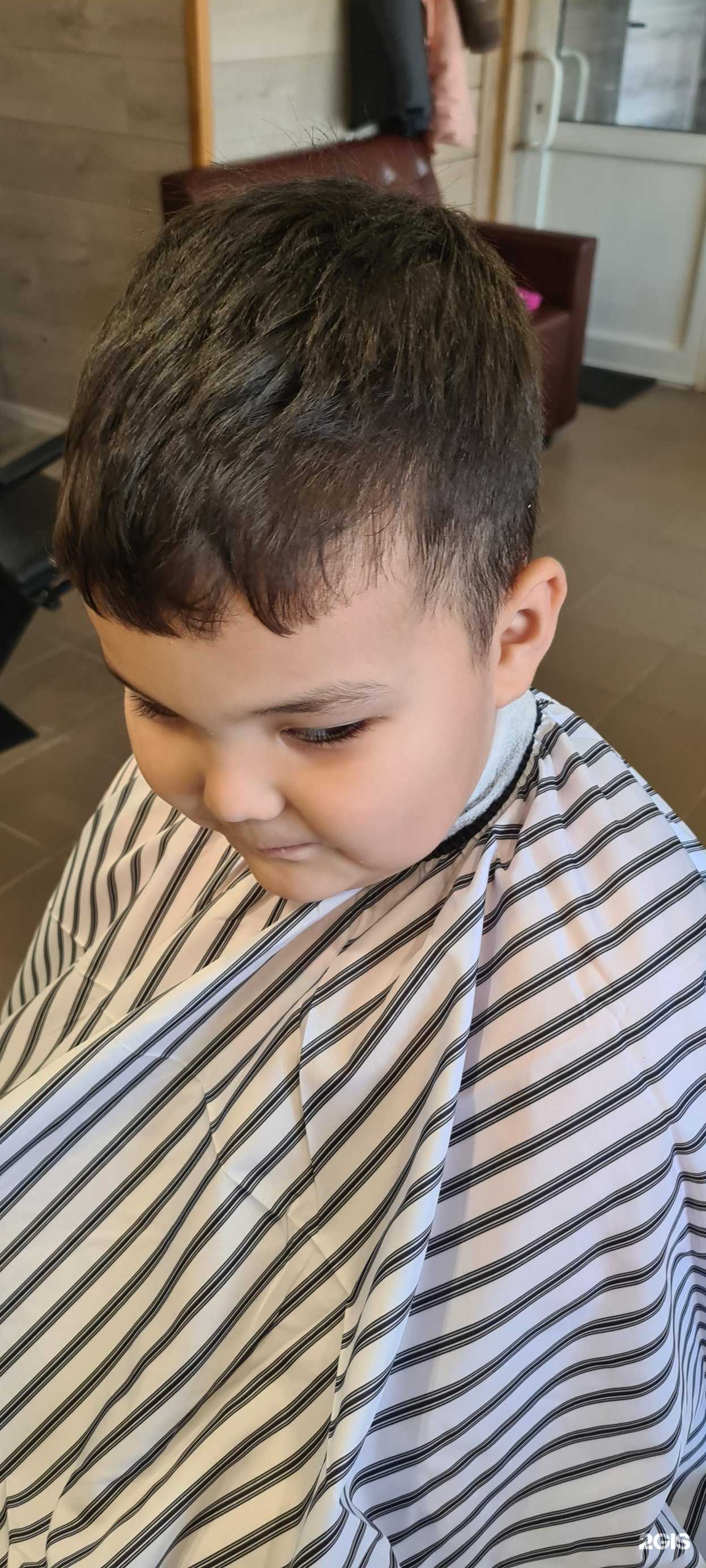 Отзывы на компанию София в г. Новосибирск c фото