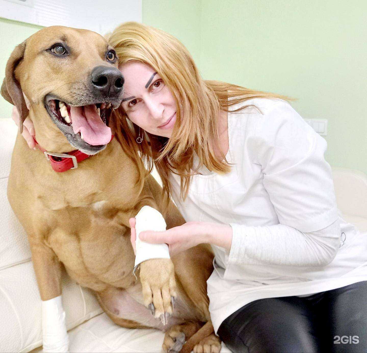 Отзывы на компанию Доктор Фламинго в Ростове-на-Дону c фото