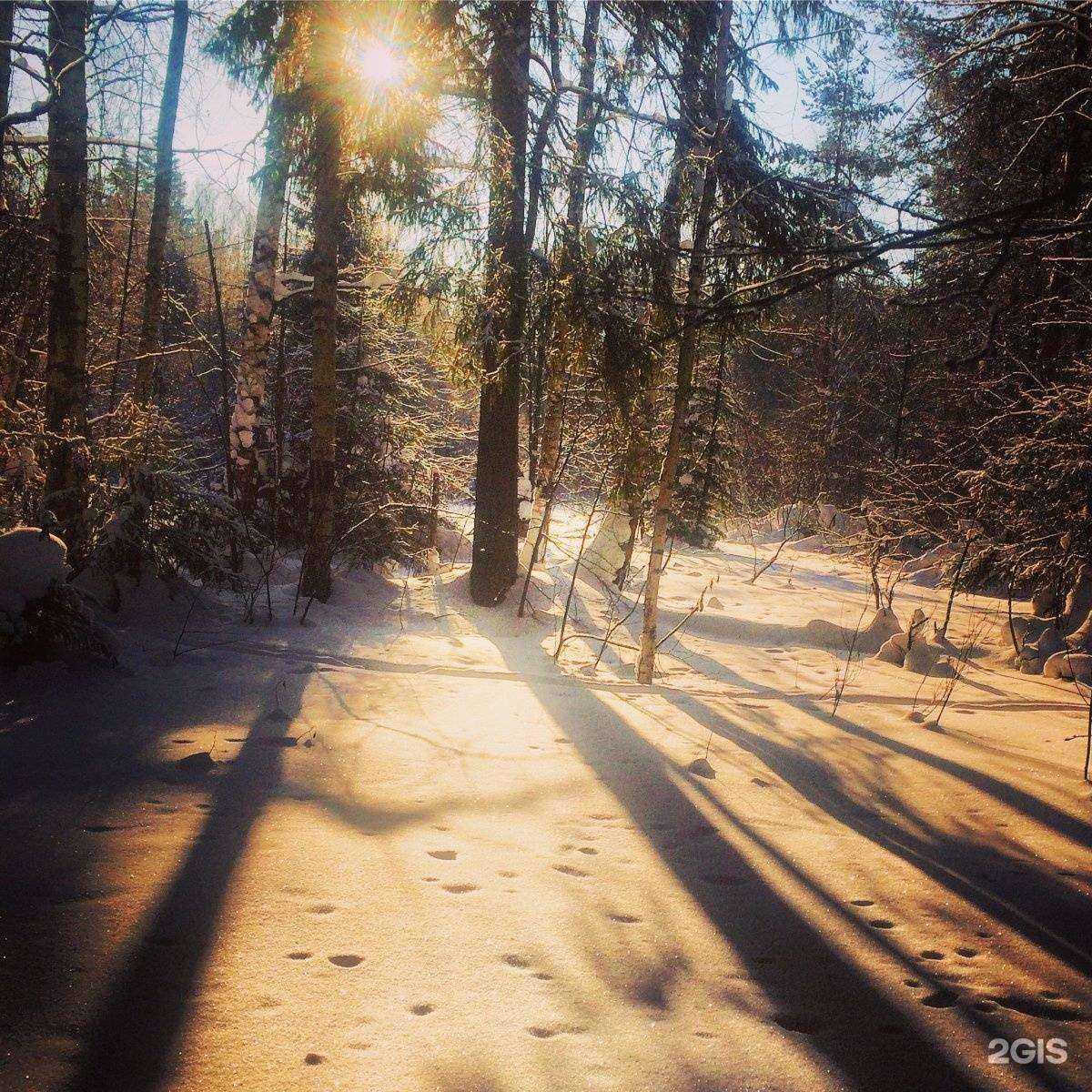 Отзывы на компанию Искра в г. Ижевск c фото