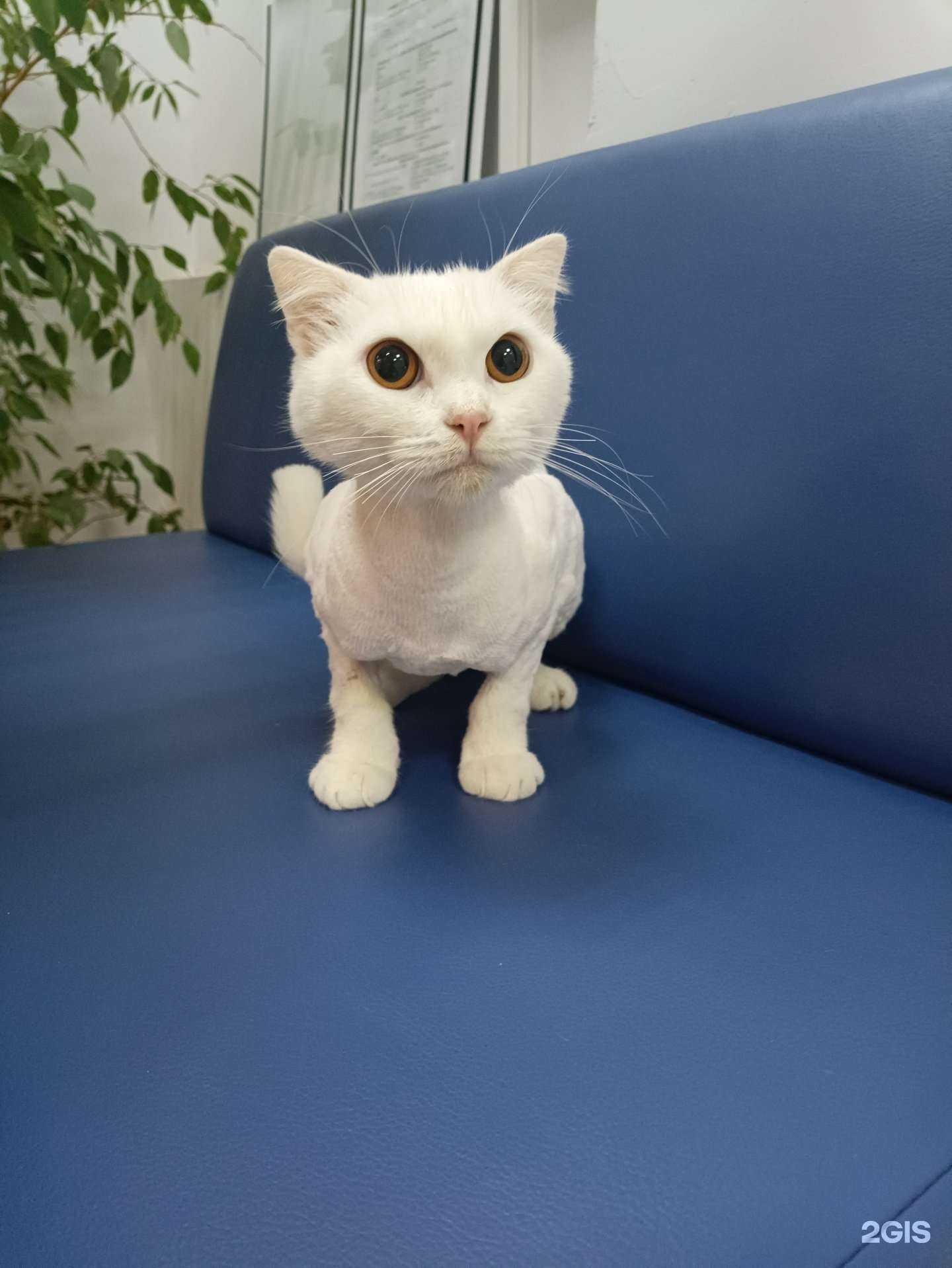 Отзывы на компанию Анубис в Астрахани c фото