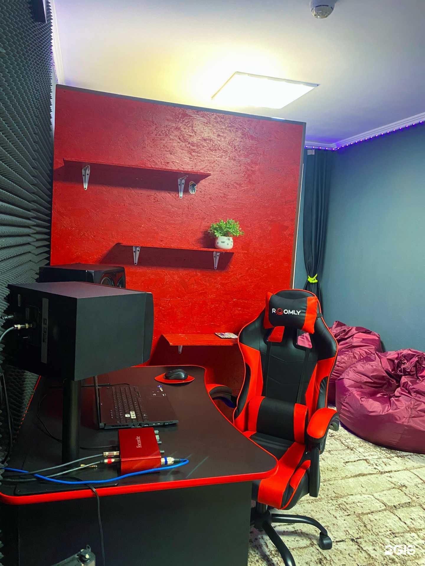 Отзывы на компанию Red Cat в г. Бийск c фото