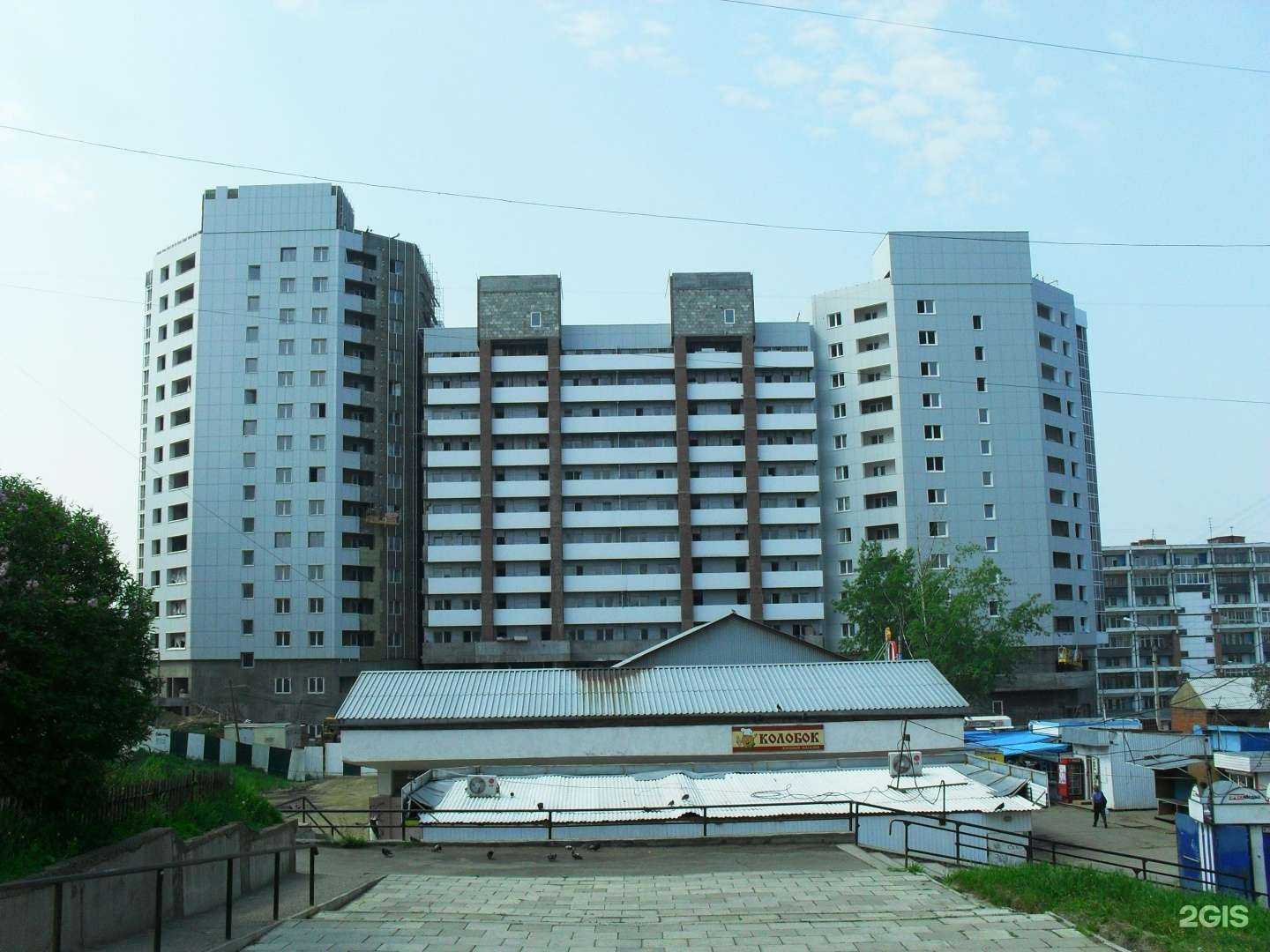 Отзывы на компанию ЛолаПёс в Иркутске c фото - фотография 2 из 2